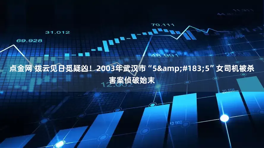 点金网 拨云见日觅疑凶！2003年武汉市“5·5”女司机被杀害案侦破始末