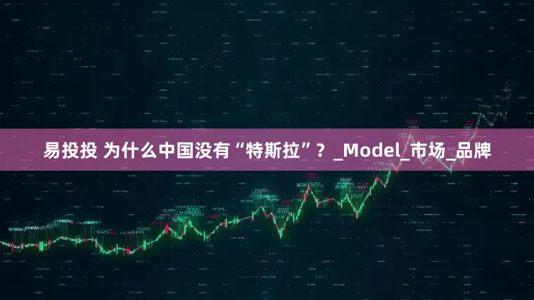 易投投 为什么中国没有“特斯拉”？_Model_市场_品牌